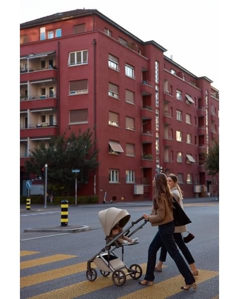 Коляска 2 в 1 Anex Eli, Gato (el-11)