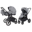 Коляска 2 в 1 Carrello Epica 2026 CRL-8510 Silver Grey