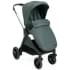 Коляска 2 в 1 Chicco Bellagio, Fir Tree (Зеленый)