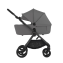 Детская коляска Anex IQ Basic NT 2 в 1 Lune 2025 (iq-17)