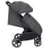 Коляска прогулочная Carrello Corsa CRL-5518, Solid Grey (Серый)