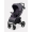 Коляска прогулочная Rant Basic Alpine 2026 Dark grey