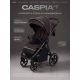 Коляска прогулочная Rant Caspia Soft Shine brown