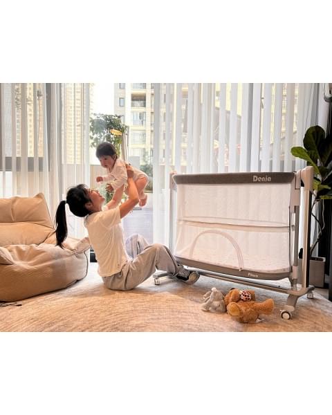 Колыбель Pituso Denia на колёсах 3 в 1 PD-C03-Grey
