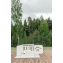 Большой детский игровой манеж UNIX Kids Classic Tree House 150 x 180 Camel