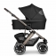 Коляска 2 в 1 ABC-Design Salsa 4 Air Diamond, Dolphin (Черный / шасси Серебро)