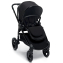 Детская коляска Mamas&Papas Ocarro 2 в 1 Raven черный