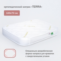 Матрас ANTEMI Terra 100х70 см