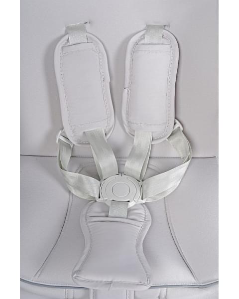 Детская прогулочная коляска Farfello Fest Lux Светло-серый/Light grey FL-14 цветная рама