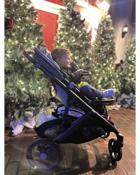 Коляска 2в1 UPPAbaby VISTA V3 KENZI