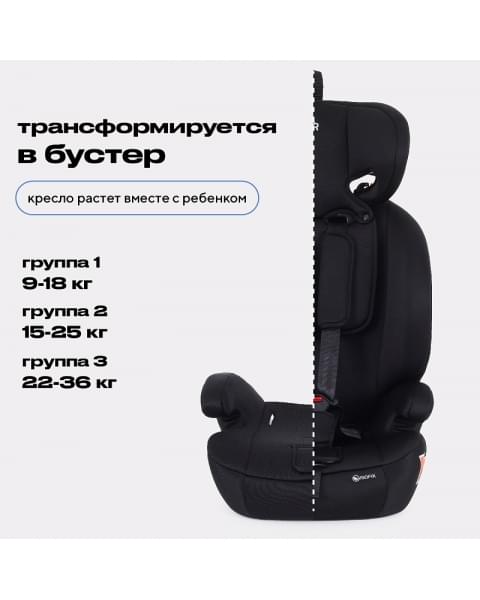 Автокресло Rant Basic Apex ZY27F isofix Black (9-36 кг)