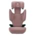Автокресло Britax Roemer Discovery Plus 2 Dusty Rose
