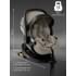 Автокресло Sweet Baby Premier Plus WG06 Pro+WG10 Beige