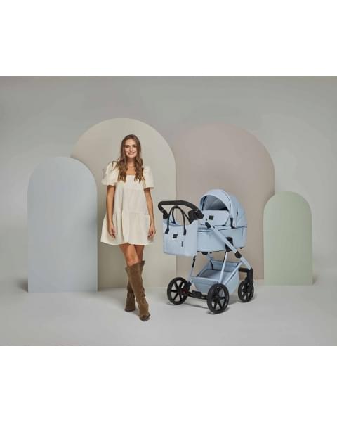 Детская коляска Adamex Delta Natura 2 в 1 DN-1-SKY