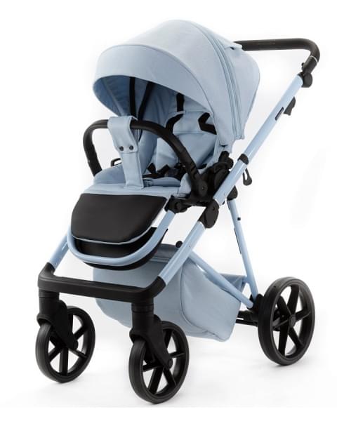Детская коляска Adamex Delta Natura 2 в 1 DN-1-SKY
