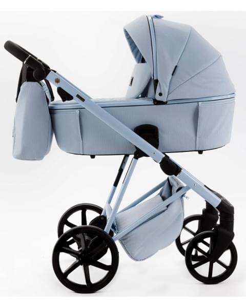Детская коляска Adamex Delta Natura 2 в 1 DN-1-SKY