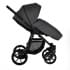 Детская коляска Pituso Tossa 2 в 1 TS/50/04 Dark Grey