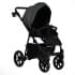Детская коляска Pituso Tossa 2 в 1 TS/50/04 Dark Grey