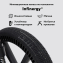Детская коляска Rant Falcon Soft Therm 4 в 1 с автокреслом Miro и базой Black
