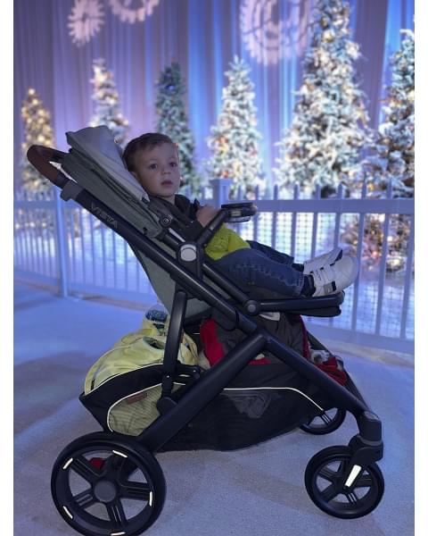 Коляска 2в1 UPPAbaby VISTA V3 KENZI
