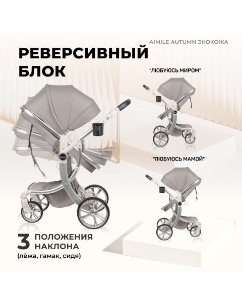 Коляска-трансформер Aimile Original Autumn AA-4