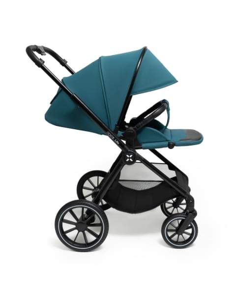Коляска 2 в 1 Agex Life, Green (Зеленый)
