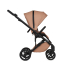 Коляска 2 в 1 Anex Eli, Fantasy (el-04)