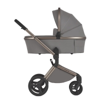 Детская коляска 2 в 1 Anex Flo, Charm (fl-02)