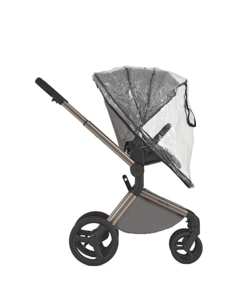 Коляска 2 в 1 Anex Flo, Charm (fl-02)