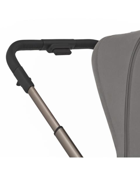 Коляска 2 в 1 Anex Flo, Charm (fl-02)