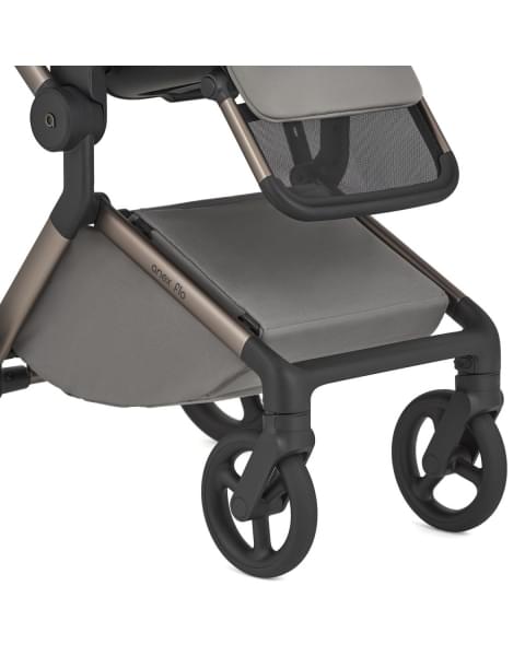 Коляска 2 в 1 Anex Flo, Charm (fl-02)