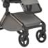 Коляска 2 в 1 Anex Flo, Charm (fl-02)