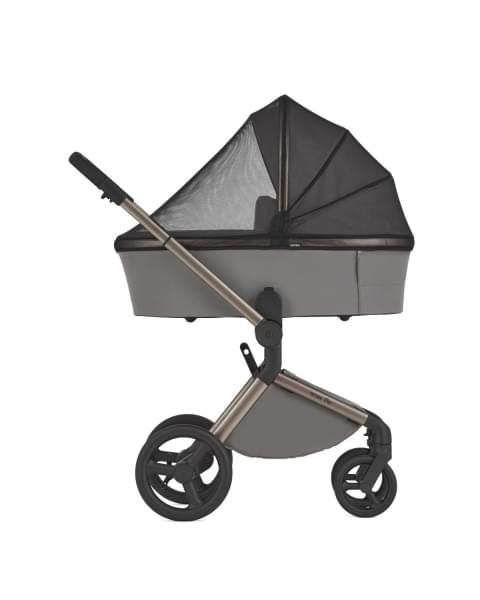 Коляска 2 в 1 Anex Flo, Charm (fl-02)