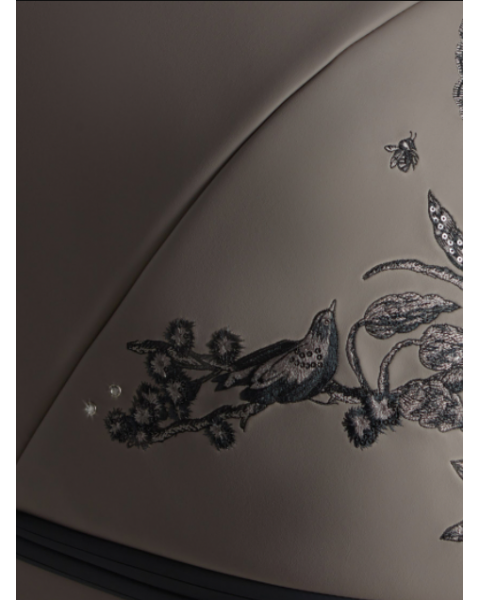 Коляска 3 в 1 Anex e/type Special Edition, Eden / Серый / Принт (et-SE05)