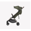Коляска 3 в 1 Anex iQ Premium New, Richi / Зеленый (iQ-09-NT)