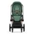 Коляска 3 в 1 Cybex Priam IV Rosegold и автокресло Aton B2 i-Size Leaf Green/Dynamic Red