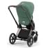 Коляска 3 в 1 Cybex Priam IV Rosegold и автокресло Aton B2 i-Size Leaf Green/Dynamic Red