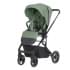 Коляска прогулочная Carrello Alfa CRL-5508 / 2024, Sea Green (Зеленый)