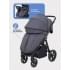 Коляска прогулочная Mowbaby Trail 2025 Graphite