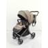 Коляска 2 в 1 Pituso Teffy Hazel/Graphite
