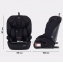 Автокресло Rant Basic Apex ZY27F isofix Black (9-36 кг)