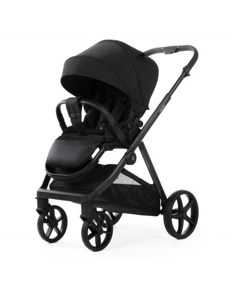 Детская коляска Adamex Sigma Natura 2 в 1 / SI-11-CARBON