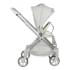 Коляска прогулочная Farfello Olivia O1s,серый