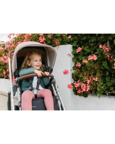 Коляска прогулочная UPPAbaby Cruz V2 ALICE