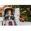 Коляска прогулочная UPPAbaby Cruz V2 ALICE пыльный розовый