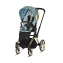 Коляска 2 в 1 Cybex Priam III Jeremy Scott Cherubs, FE JS Cherubs Blue (Голубой с рисунком)