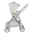 Коляска прогулочная Farfello Olivia O1s,серый