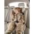 Автокресло для детей «SANDEX» Happy Baby light grey