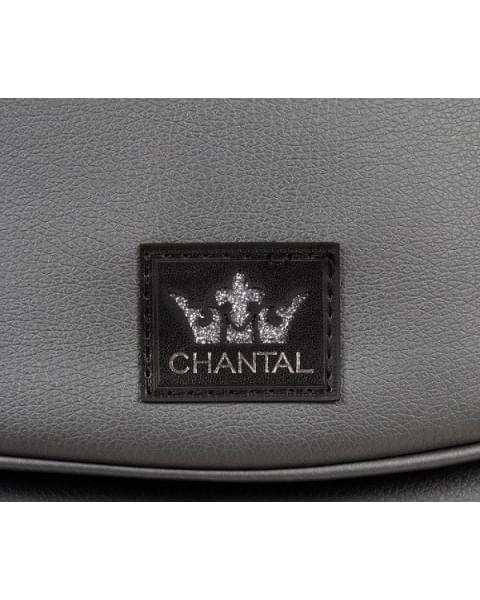 Детская коляска Adamex Chantal Star Collection 3 в 1 STAR103 черный + серебро