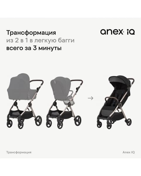 Детская коляска Anex iQ Basic NT 2 в 1 Sienna 2024